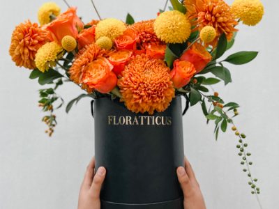 Boutique de flores Floratticus